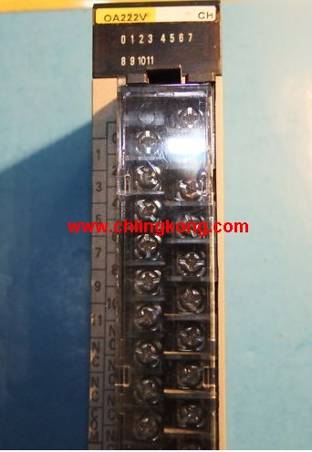 Wķ(OMRON) lݔģK C200H-OA222V